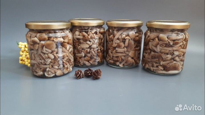 Грибы маринованые опята