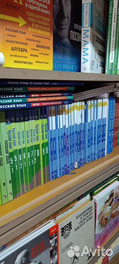 Учебники русский язык и литература