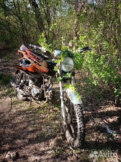 Альфа рейсер 72куба