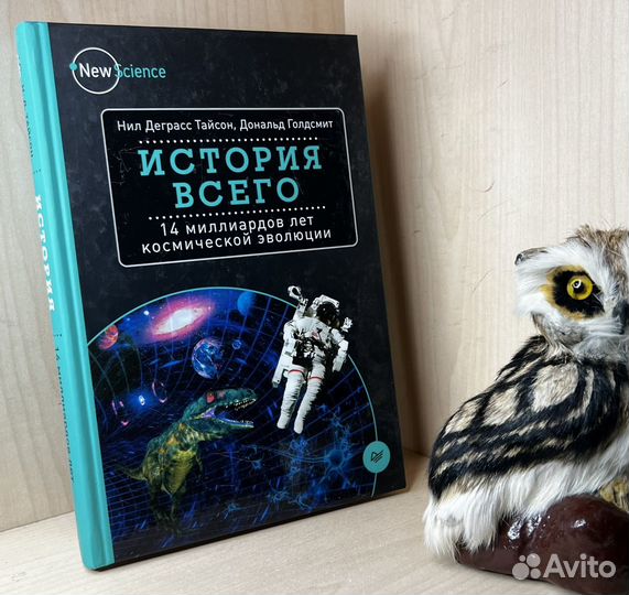 Тайсон Н.Д., Голдсмит Д. История всего. 14 миллиар
