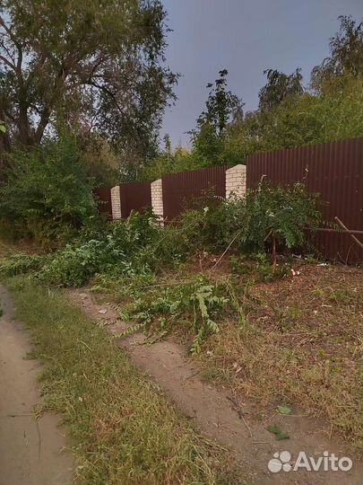 Покос травы триммером. Спил кустарников и деревьев