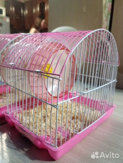 Клетка для джунгарского хомяка