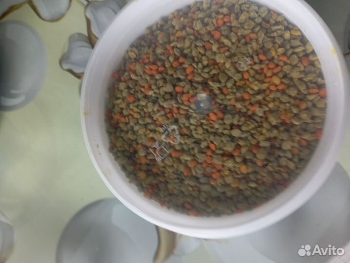 Пыльца пчелиная майская