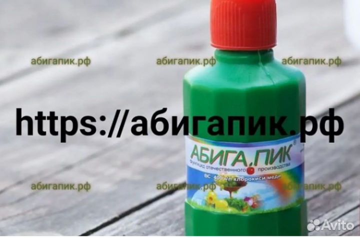 Абига пик,вс