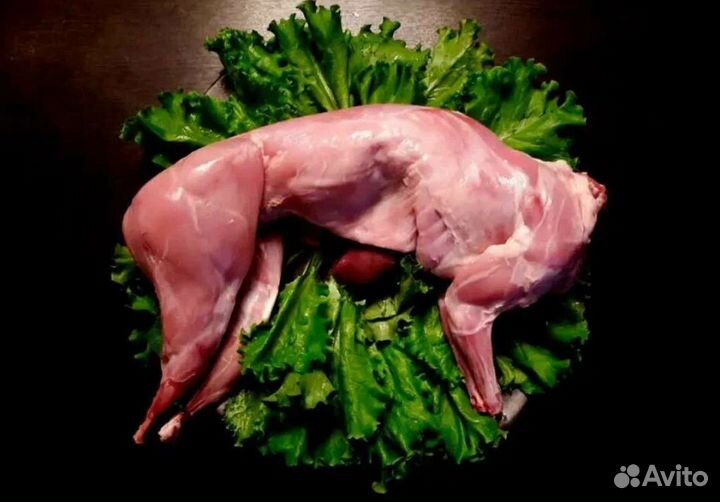 Мясо кролика