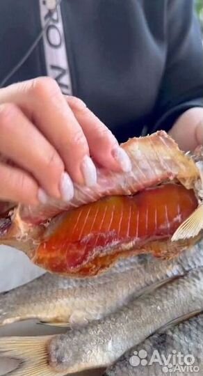 Вобла вяленая из Астрахани