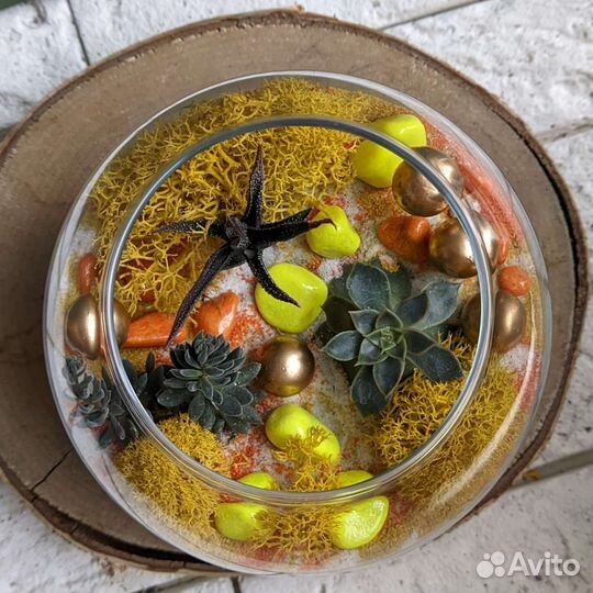 Флорариум с суккулентами (1 литр)