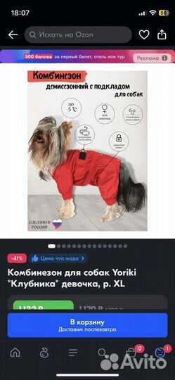 Костюм для собаки