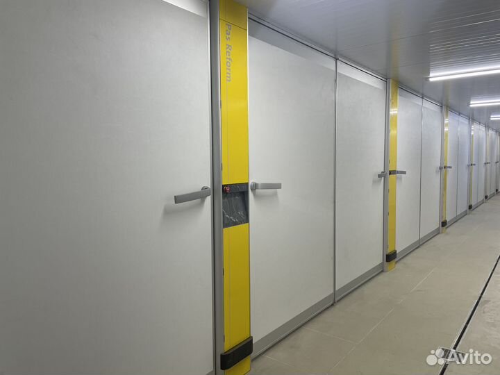 Яйцо инкубационное бройлер кобб 500/росс 308