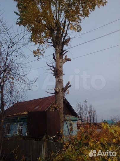 Скос покос травы, спил деревьев, кустов