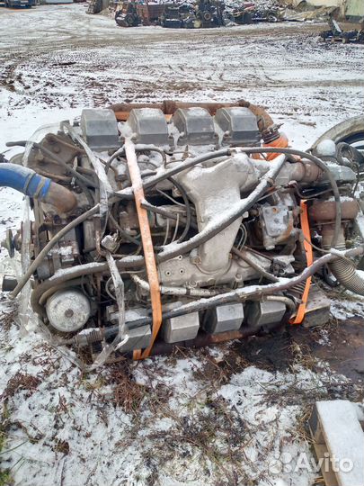 Двигатель тмз 8481