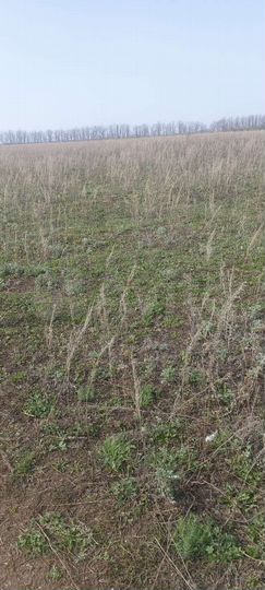 Участок 8,1 сот. (ИЖС)