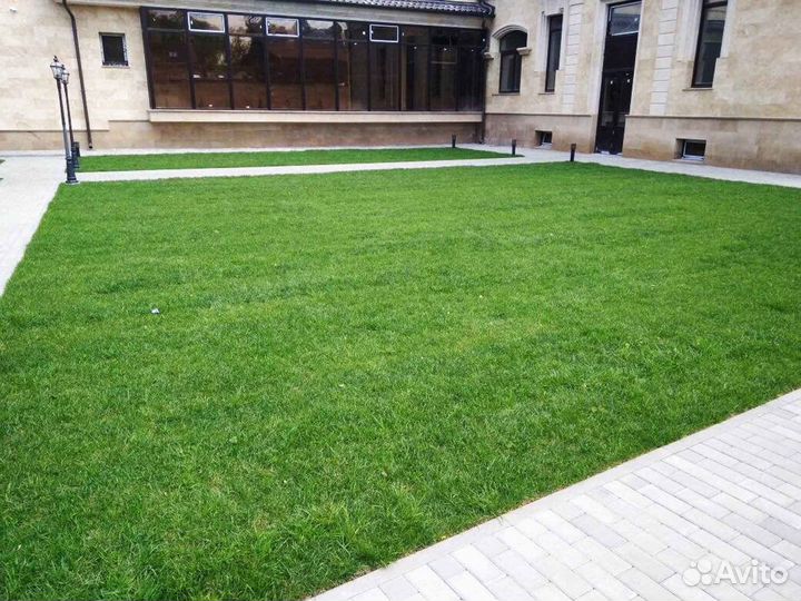 Рулонный газон /продажа/укладка