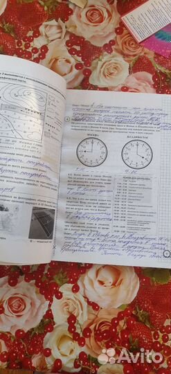 Учебник для подготовки к впр по географии