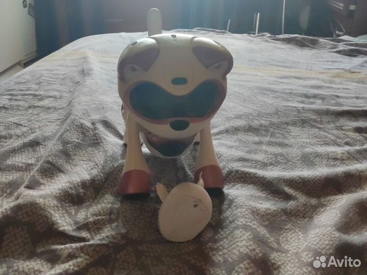 Робот-кошка Teksta kitty