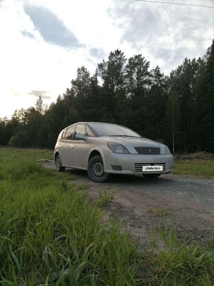 Toyota Opa: фото владельца