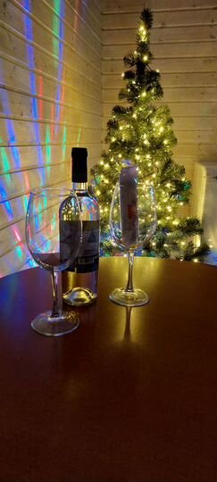 Дом 45 м² на участке 20 сот.