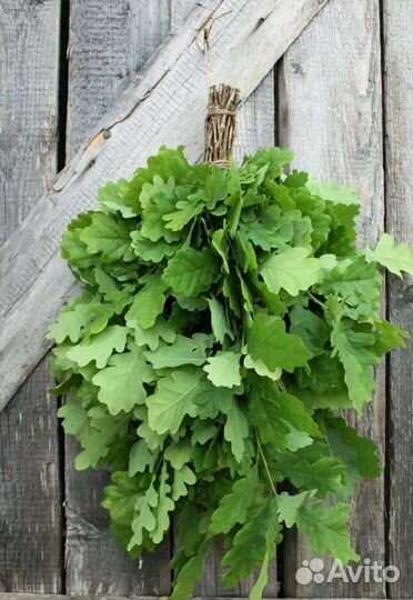 Лучшие веники для бани от компании 