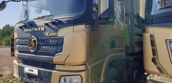 Shacman (Shaanxi) SX33186T366, 2021