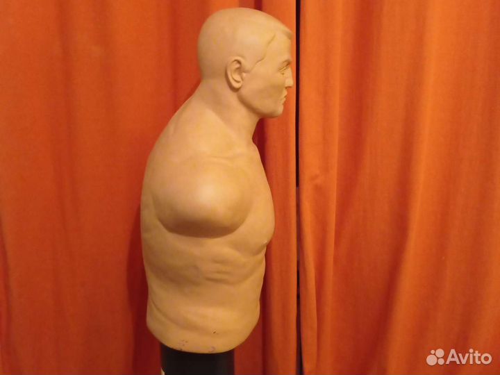 Водоналивной манекен Century Bob Box