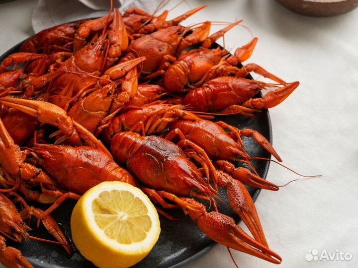 Раки оптом в Новокузнецк