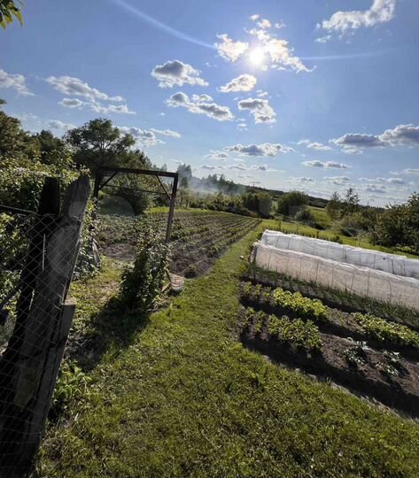 Дом 40,3 м² на участке 14 сот.