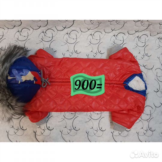 Новые комбинезоны для собак