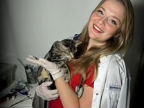 Поляна дом 2 на летовой роще. Где находится дом 2 на карте. Место нахождения дома 2. Местонахождение дома 2 на карте. Приколы про местонахождения.