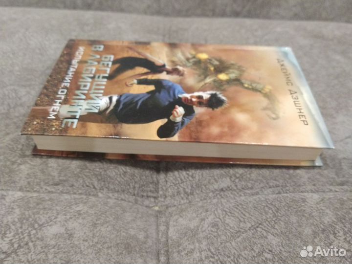 Бегущий в лабиринте. Испытание огнём. Д. Дэшнер