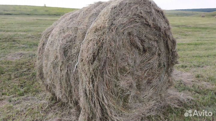 Сено в тюках