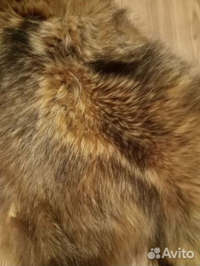 Шкура енота