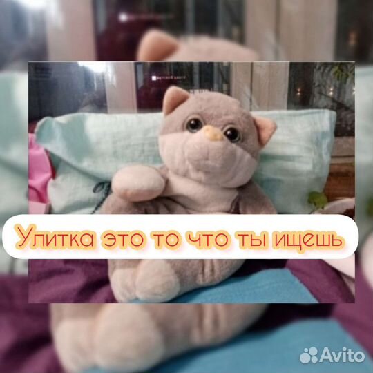 Улитка Ахатина