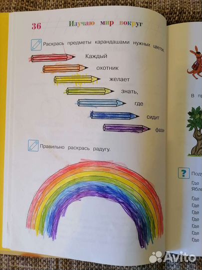 Ломоносовская школа, Петерсон Игралочка