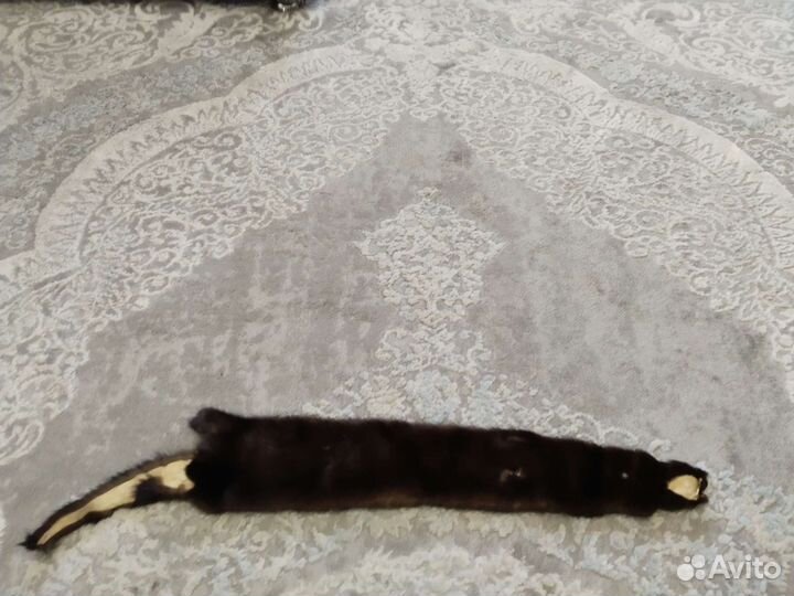 Норка шкурка целая