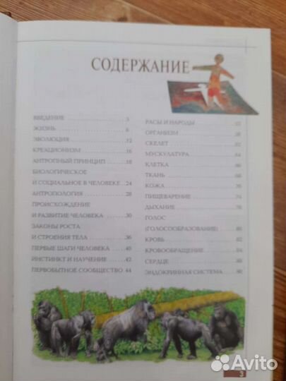 Энциклопедия для детей