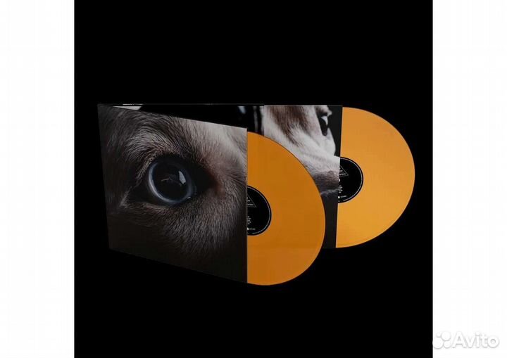 Roger Waters - The Dark Side Of The Moon Redux (2