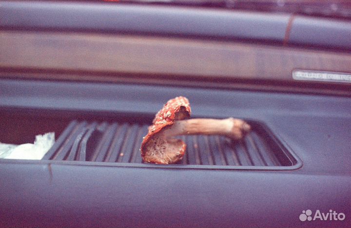 Фотопленка цветная kodak EXR 5296