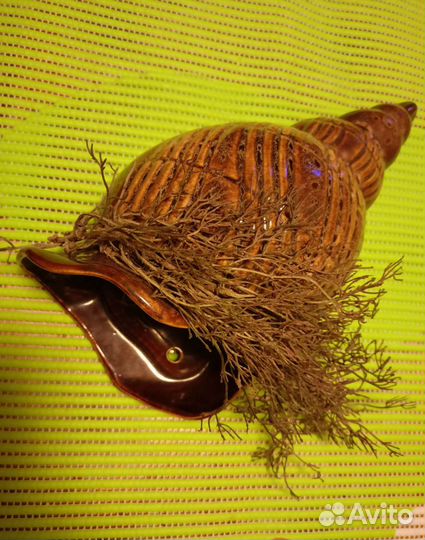 Керамические раковины