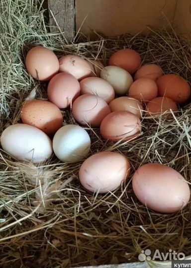 Домашние натуральные продукты