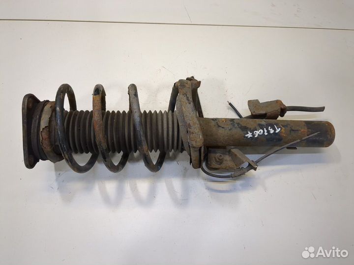 Амортизатор подвески Ford Focus 2, 2009