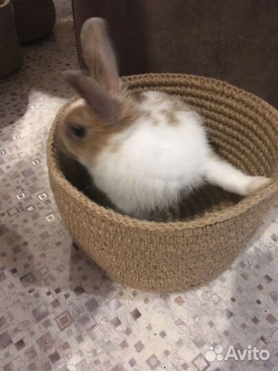 Эко-корзины для хранения