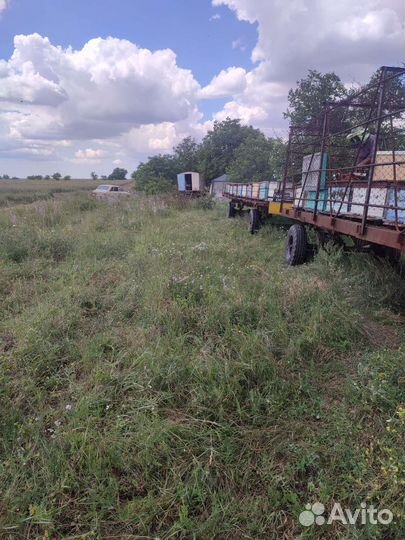 Мед с пасеки