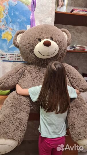 Плюшевый медведь