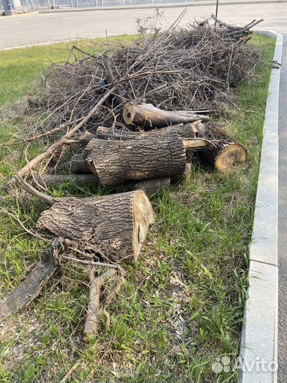 Дрова бесплатно