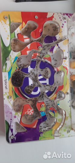 Муравьиная ферма antplanet