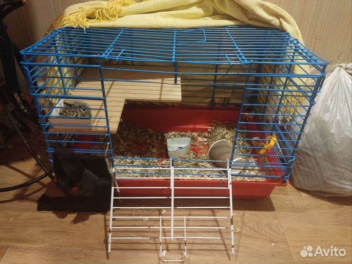 Кролик с клеткой и переноской