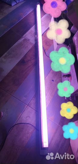 Лампы флора и лампы дневного света