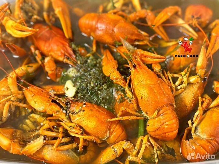 Раки вареные и живые