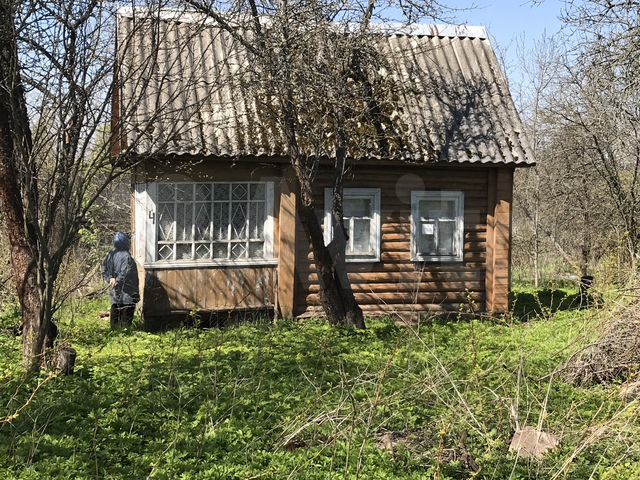 великие луки деревня аничково дачи. авито великие луки. продажа дач на авито великие луки. нагорный. авито великие луки дачи купить.