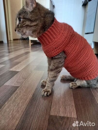 Диван, лежанки и одежда для кошек новая